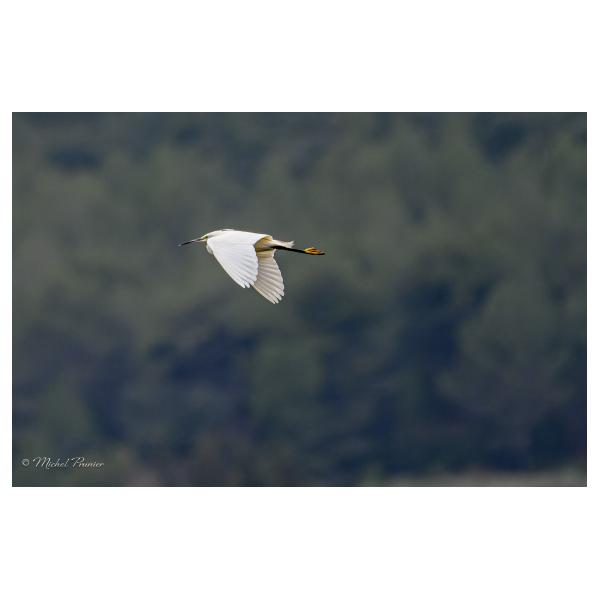 PHOTO84, CLUB, 84 , LUBERON